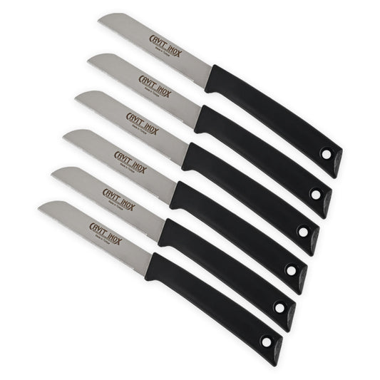 Serrated Black Fruit Knife with Block Set of 6